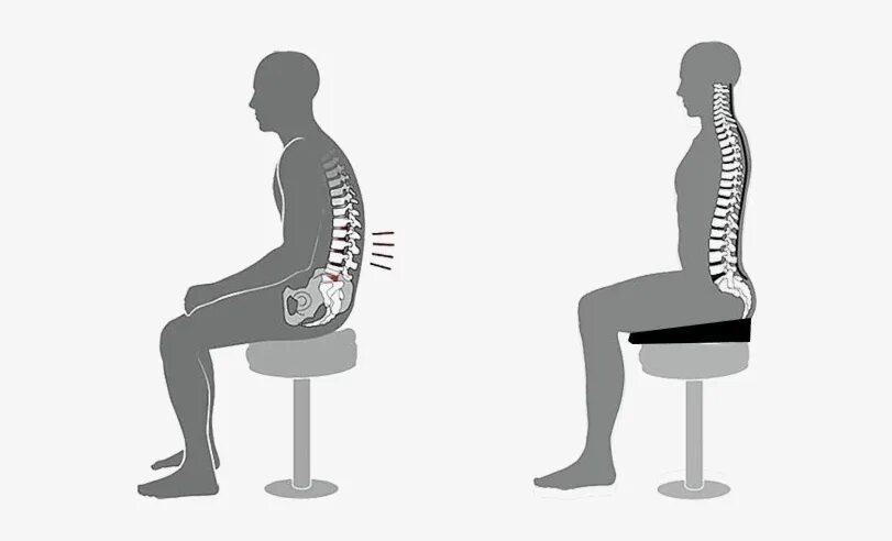 Сильная боль при стуле. Сутулая осанка. Позвоночник человека. Правильная осанка позвоночника. Позвоночник в сидячем положении.