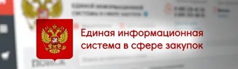 Рскп в еис это