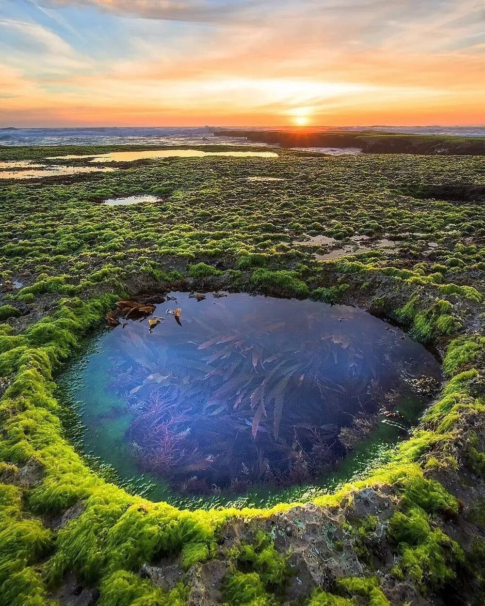 Где то на земле есть необычная. Кратерное озеро Исландия. Васюганские болота. Кальдера вулкана Узон. Васюганское озеро.
