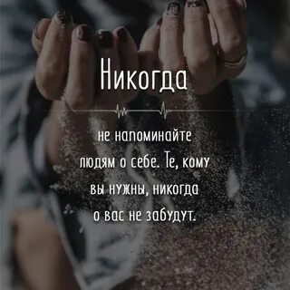 Цитата 22 года