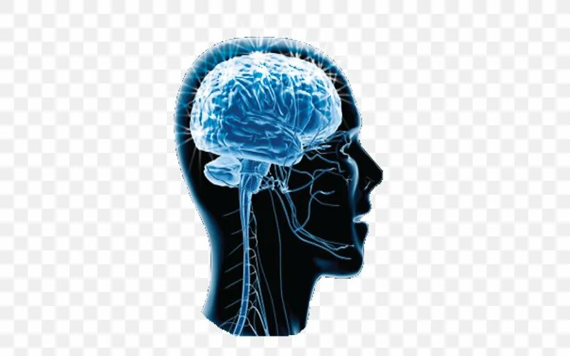 Brain project. Когнитивная нейробиология. Мозг логотип. Логотипы с изображением мозга. Вибрации мозга PNG.