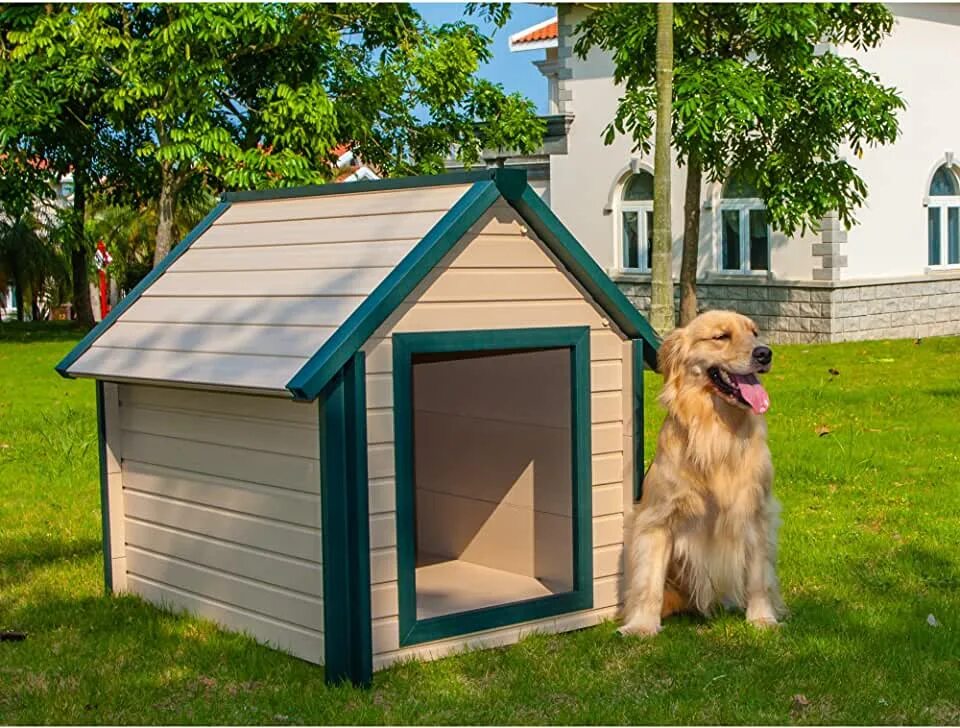 New dog house. Домик для собак крупных пород. Будка домик для собаки крупных пород. Старая собачья будка. Будка для собаки в стиле Шале.