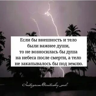 Если бы красота была