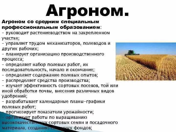 Чем агроном полезен обществу. Агроном профессия. Профессии растениеводства агроном. Сообщение о профессии агроном. Сельскохозяйственные профессии агроном.