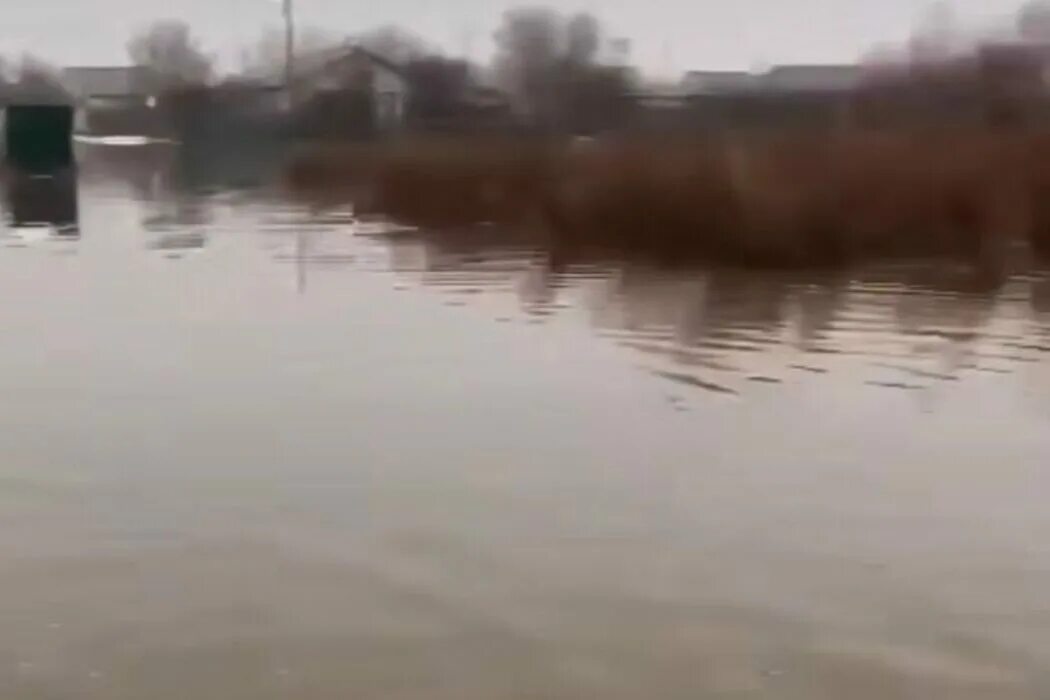 Какие районы затопило в оренбургской. Разлив реки. Река вышла из берегов. Потоп Шапошниково Первомайский район. Паводок Оренбург.