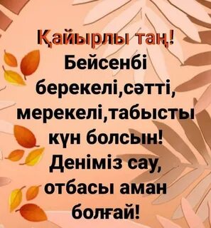 Әйелдер моншасынан видео