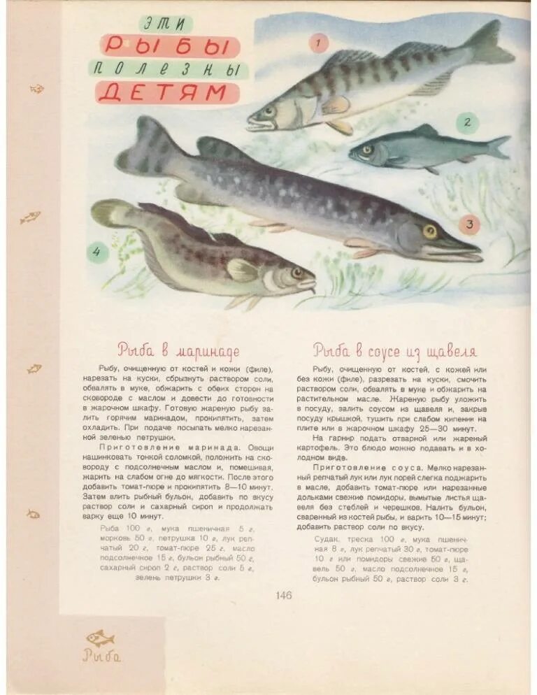 Первый прикорм рыба какая. Сорта рыбы для первого прикорма. Рыба первый прикорм. Первая рыбка для прикорма. Рыбы энциклопедия для детей Советская.