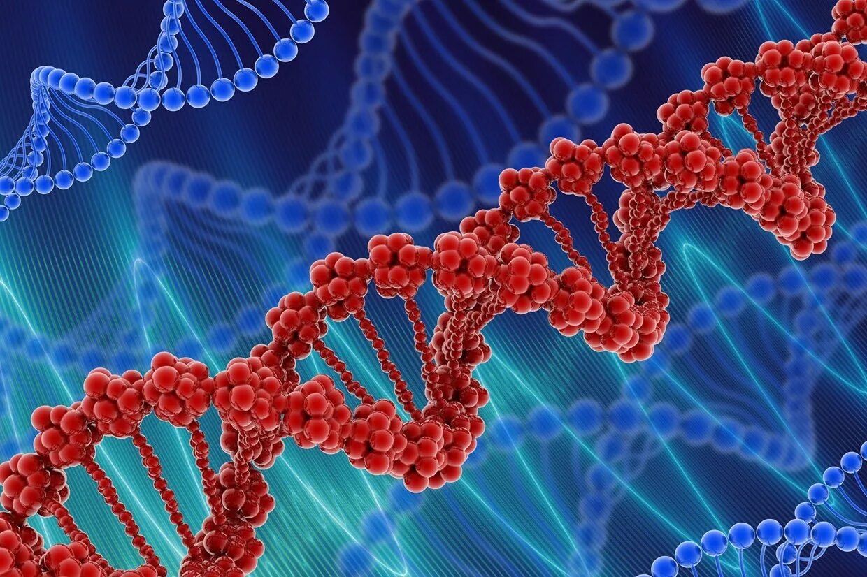 Где сделать генетический. Генетика. Генетическая предрасположенность. Гены. Ген и генетика.
