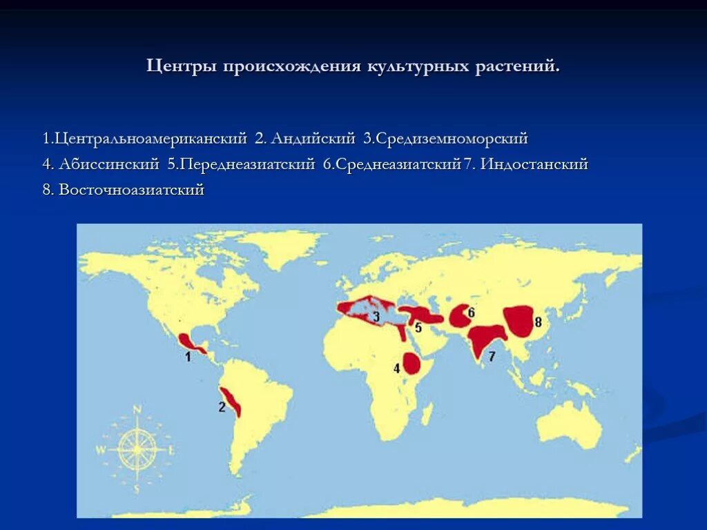 Культурные растения абиссинского центра. Переднеазиатский центр культурных растений. Абиссинский центр происхождения культурных растений на карте. Культурные растения переднеазиатский центр. Переднеазиатский центр.