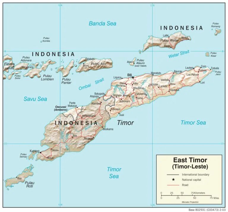 Тимор на карте. Timor Leste на карте. Остров Тимор на карте. Восточный Тимор на карте.