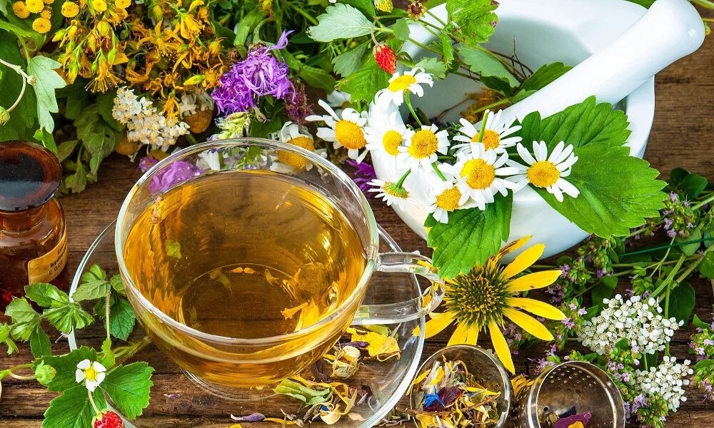 Народные средства теле. Фитотерапия на белом фоне. Целебные травы. Фитотерапия. Лекарственные травы.