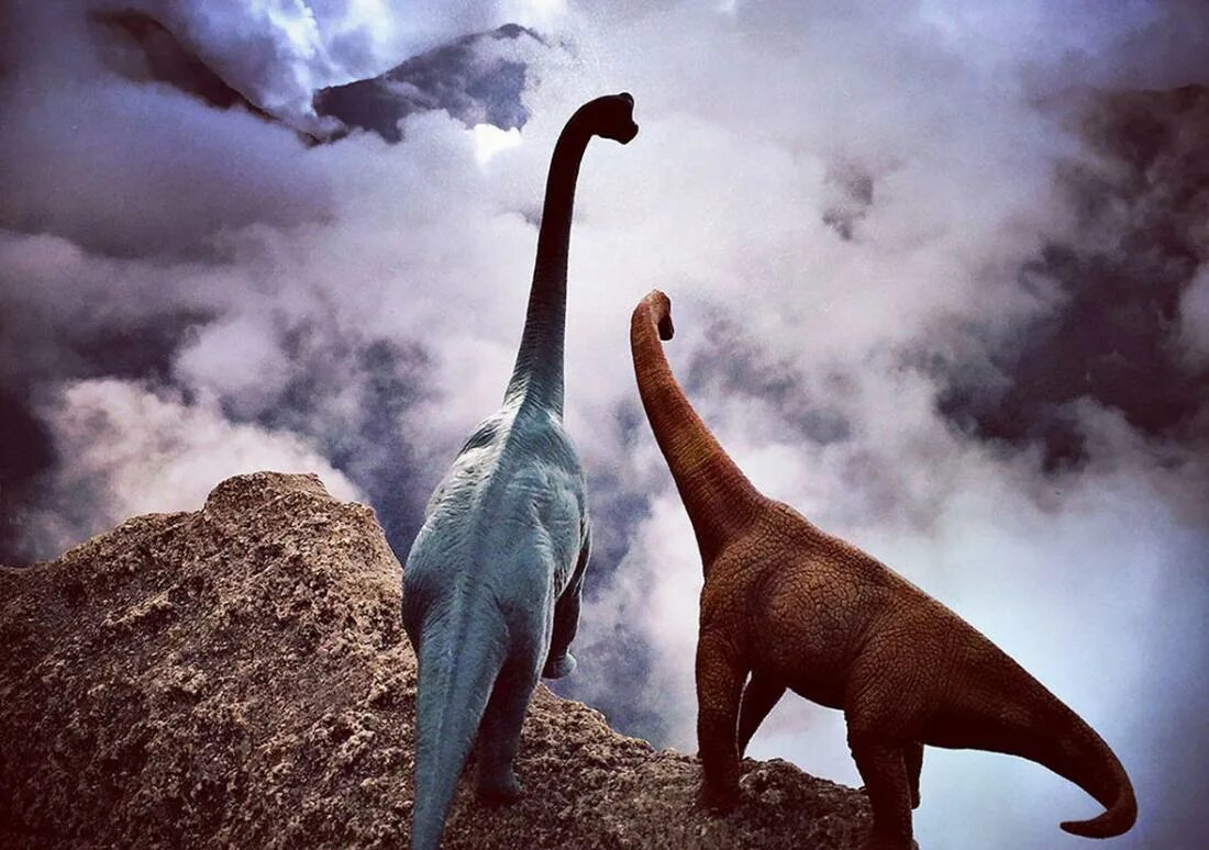 Умный динозавр. Динозавры рядом с человеком. Фотосессия с динозаврами. Путешествие к динозаврам.