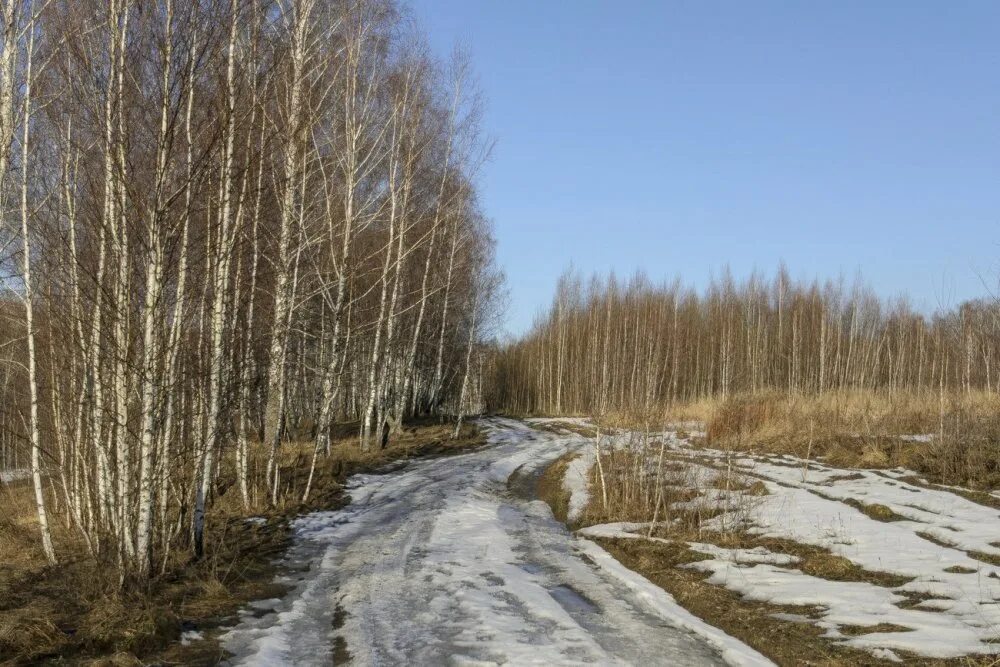 Дороги весной. Весенние дороги безопасность