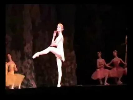 Вариация дон кихот