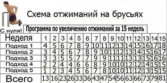 Брусья сколько раз. Программа тренировок отжимания на брусьях 30 недель. схема отжимания на брусьях с нуля таблица. схема отжиманий на брусьях для начинающих. схема отжиманий на брусьях.