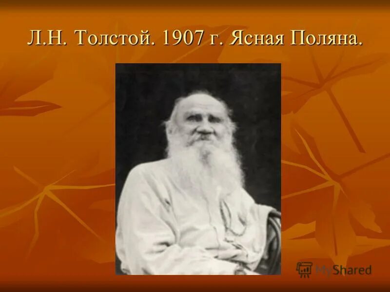 портрет для презентации а. лев толстой город в липецкой области. город льва толстого. н. лев толстой.