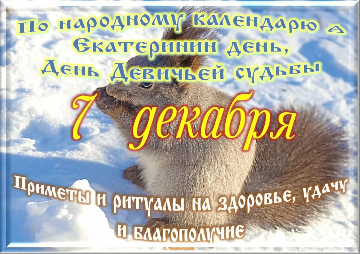 7 декабря дата. Солнечный декабрьский день. открытки с днём собутыльника 7 декабря. 7 декабря праздник. день 7 декабря день собутыльником.