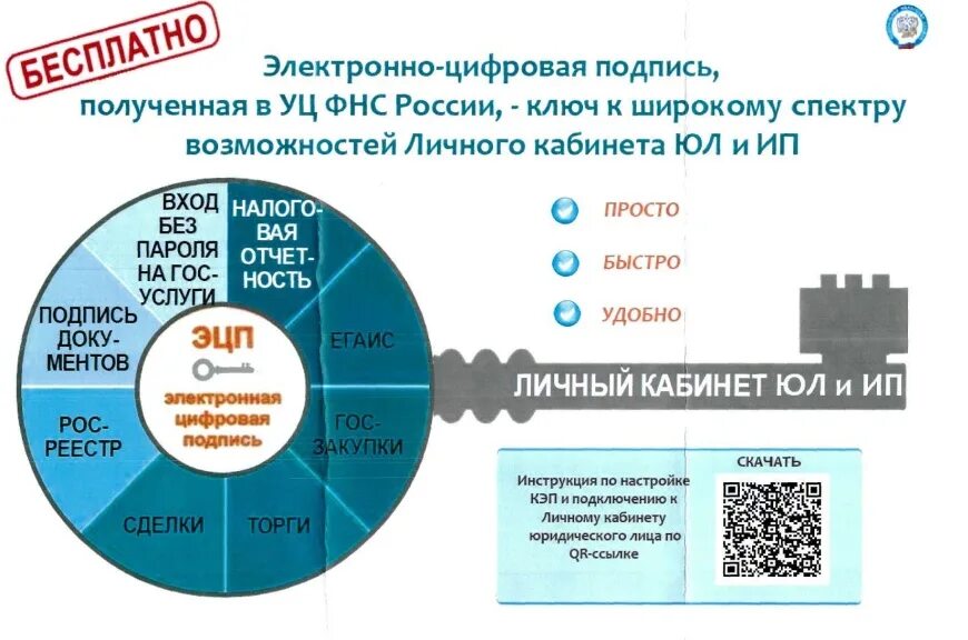 Цель сфр. Структура СФР С 01.01.2023. Структура СФР С 01.01.2023 схема. Структура отделения СФР С 01.01.2023. Структура СФР схема.