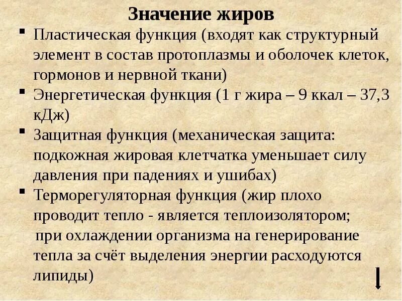 Какое значение жиров. Пластическая функция жиров. жиры значение. значение жиров в клетке. пластическая и энергетическая роль жиров.