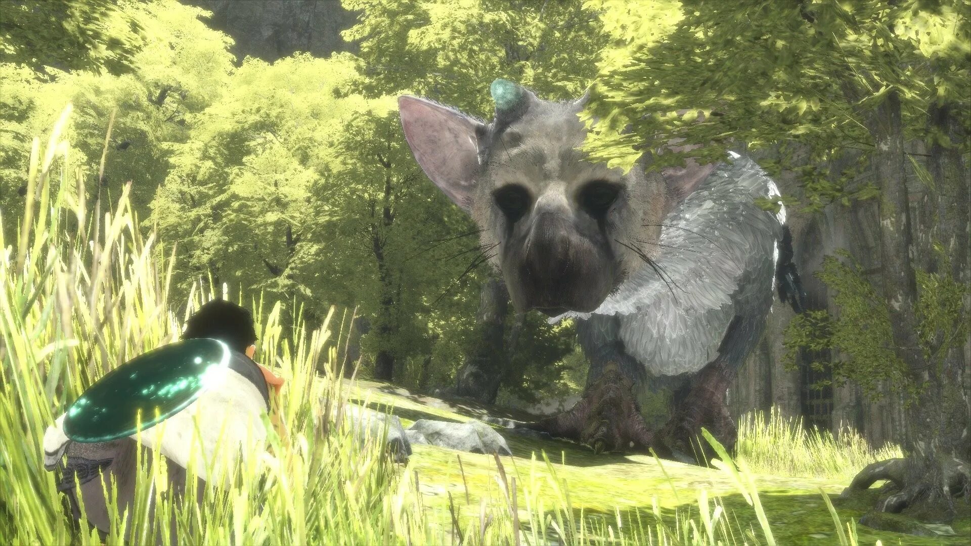 Трико the last Guardian. The last Guardian ps4. The last Guardian последний хранитель.