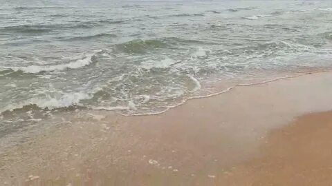 Медузы в азовском море голубицкая