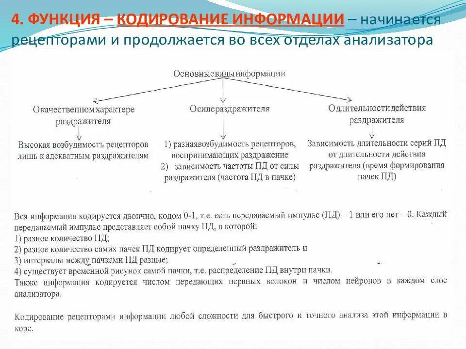 К принципам организации сенсорных систем можно отнести. Первичное кодирование информации физиология. кодирование информации в сенсорных системах физиология. кодирование сенсорной информации на уровне рецепторов. кодирование информации в рецепторах физиология.