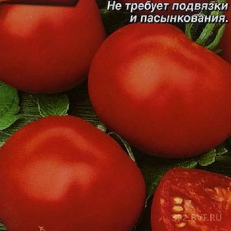 Сорт помидор Ляна. Семена томат Ляна Ляна розовая. Томат ляна розовая описание сорта