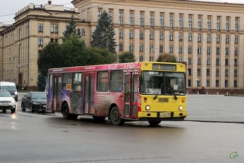 36 автобус спб