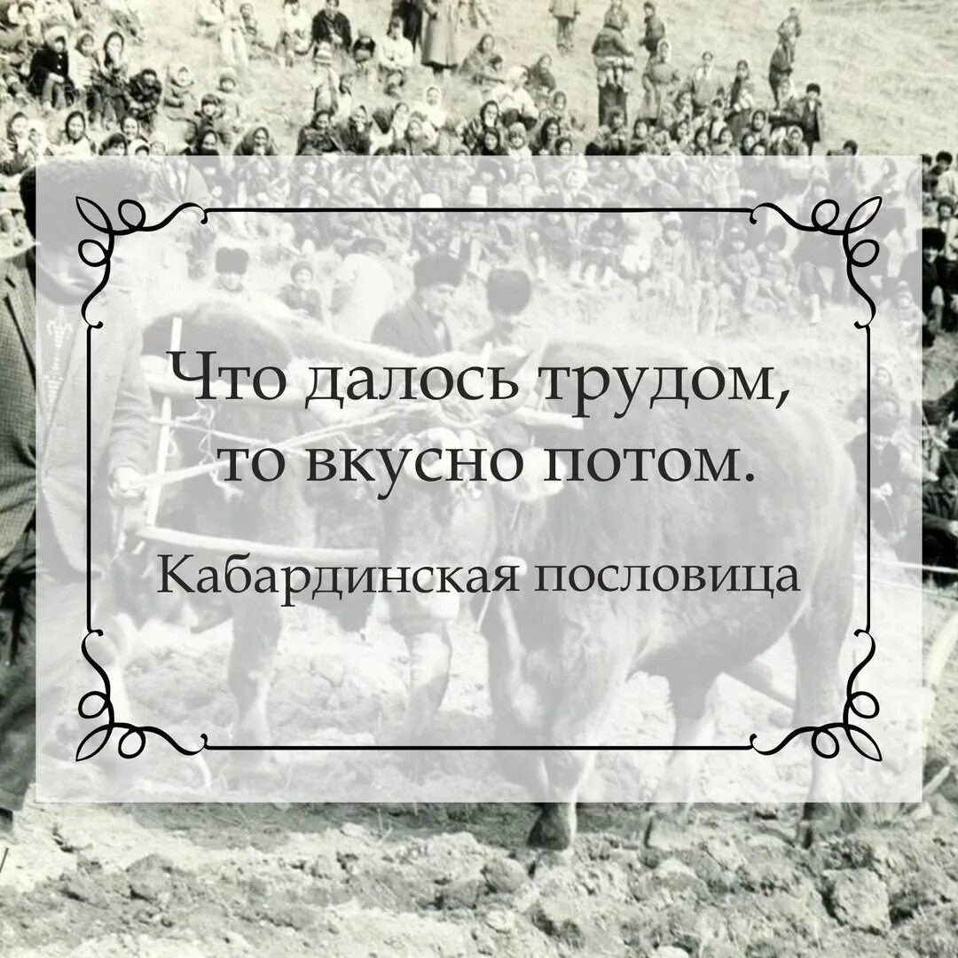 Мужчина на кабардинском языке. Кабардинские пословицы. Поговорки на кабардинском. Кабардинские пословицы на кабардинском. Пословицы и поговорки на кабардинском языке.