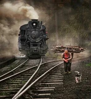 Я люблю поезда