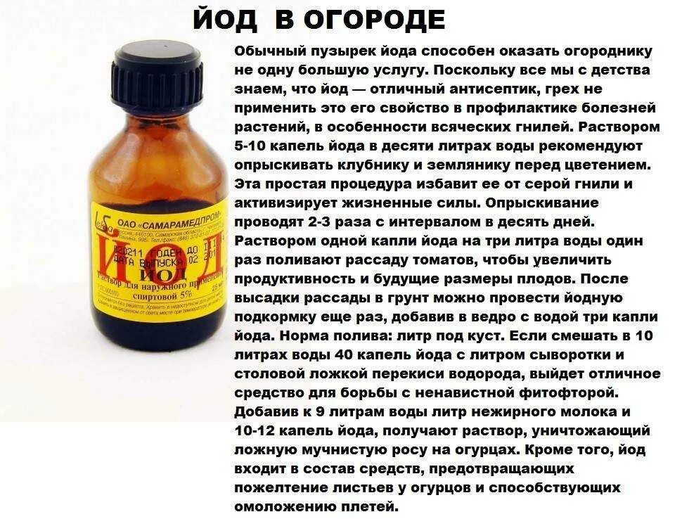 Сколько пить йод. Подкормка йодом. Подкормка растений с йодом. Йод для огородных овощей. Йод для опрыскивания.