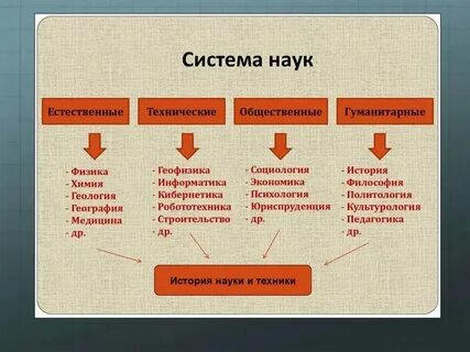 Какой вид не является научным