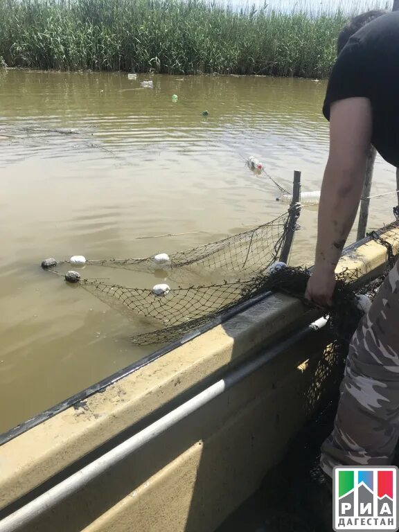 Аграханское рыбное хозяйство руководитель. Рыбалка в махачкале. Рыбалка в махачкале. Махачкалинский пляж. Рыбалка в махачкале.