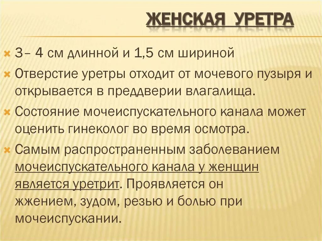 функции женского мочеиспускательного канала. мочевой пузырь и мочеиспускательный канал анатомия животных. губчатая часть мужского мочеиспускательного канала. мужская уретра (фронтальный разрез). женский мочеиспускательный канал заканчивается.
