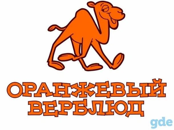 Песня оранжевый верблюд оранжевые песни. Оранжевая песня текст песни. Песня оранжевый верблюд оранжевые песни. Песня оранжевый верблюд оранжевые песни. Песня оранжевый верблюд оранжевые песни.