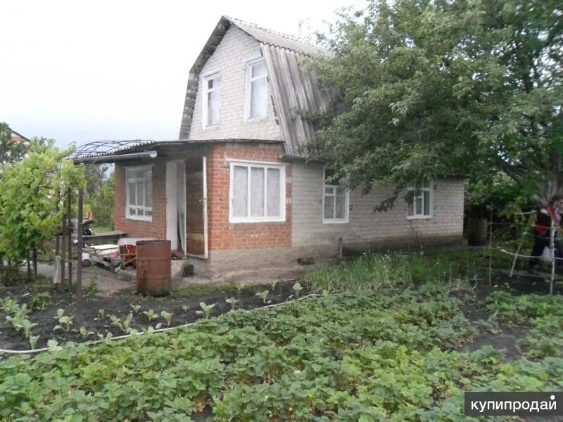 Дача 40 м² на участке 6 сот. на продажу в Латной Купить дом в Латной Авито