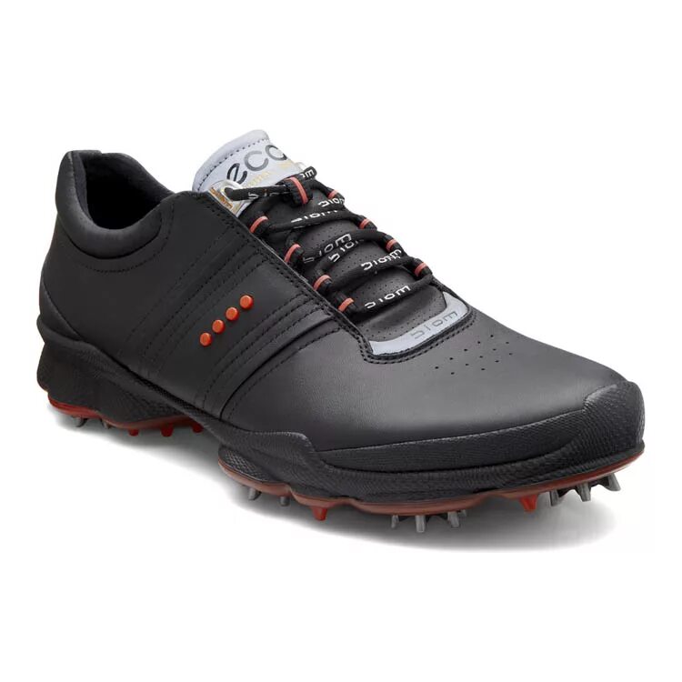 Мужские кроссовки эко. Кроссовки ecco Golf. Ecco Biom Golf. Кроссовки экко биом. Ecco Biom мужские.