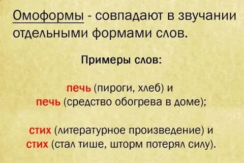 Предложения с омографами