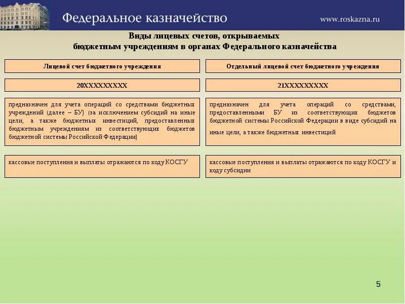 Вид лицевого счета бюджетного учреждения. Лицевой счет бюджетного учреждения. Лицевые счета казенных учреждений. Лицевой счет федерального казначейства. Федеральное казначейство открыть счет