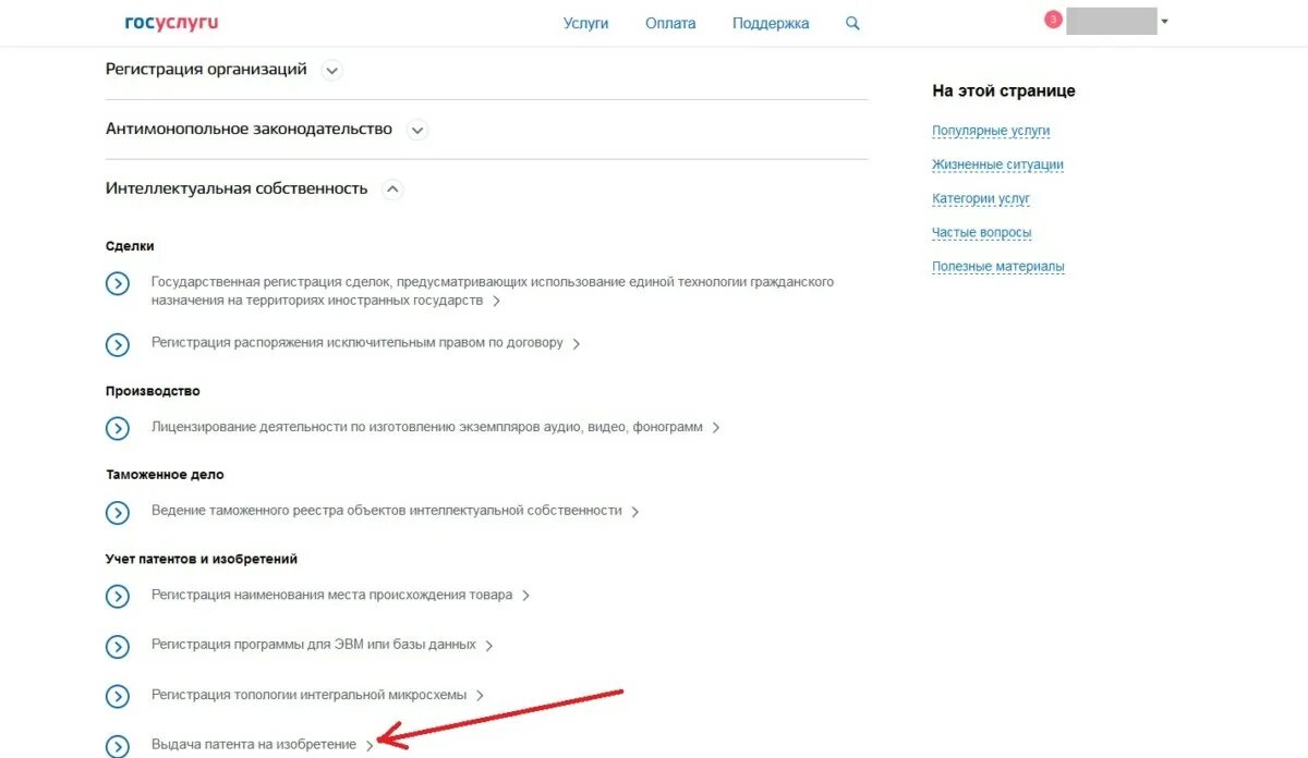 Госуслуги патент. Патент для ИП через госуслуги. Подать заявление на патент через госуслуги. Госуслуги ИП оплата патента.