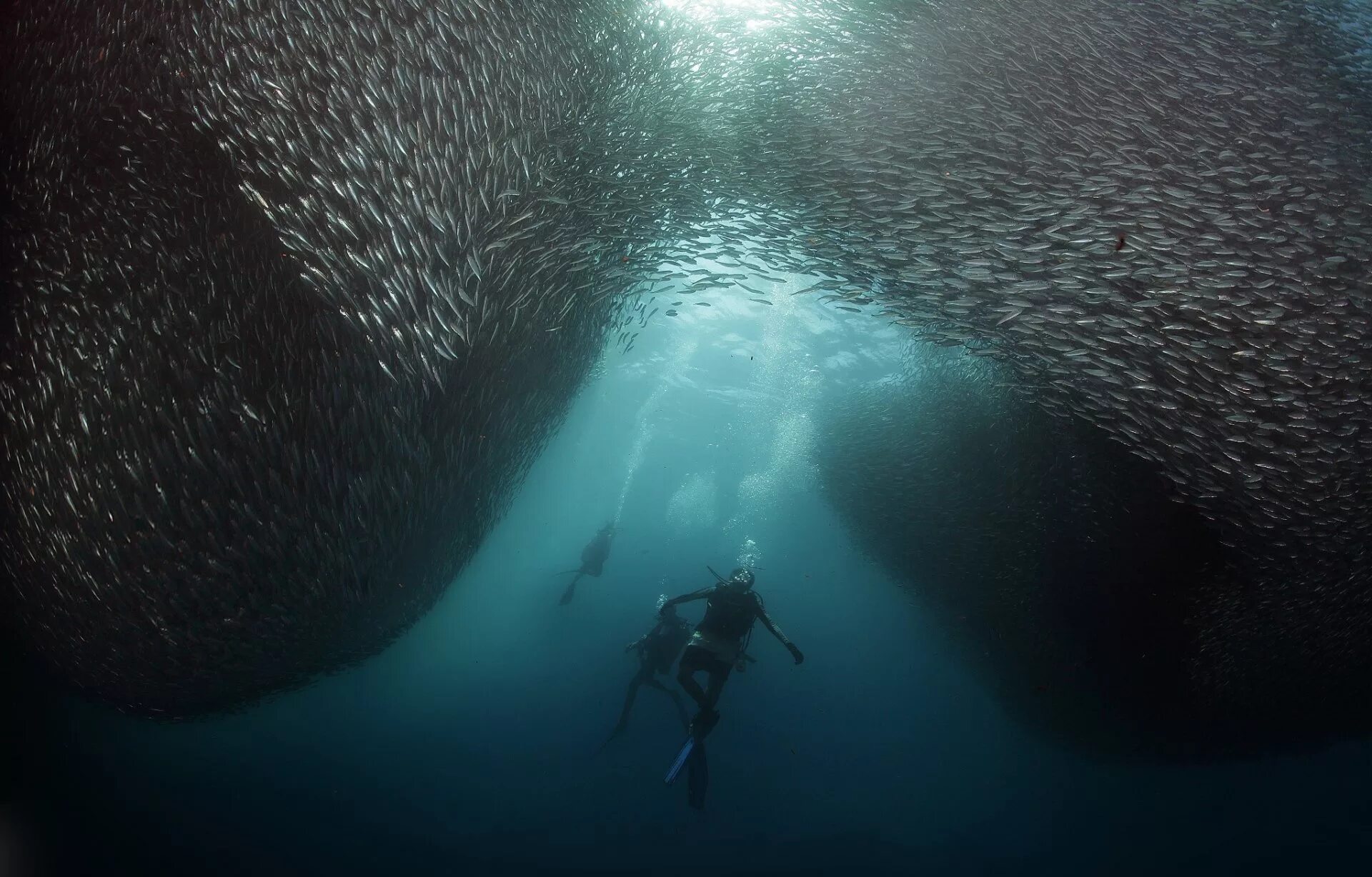 Мир подводной глубине. Океан внутри. Подводные глубины. Океан под водой. Ужасы океана.