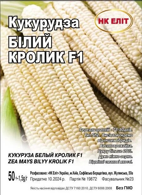 Калифорнийский заяц. Кукуруза кроликам. Кролик ест кукурузу. Кролик ест кукурузу. Кролик ест кукурузу.