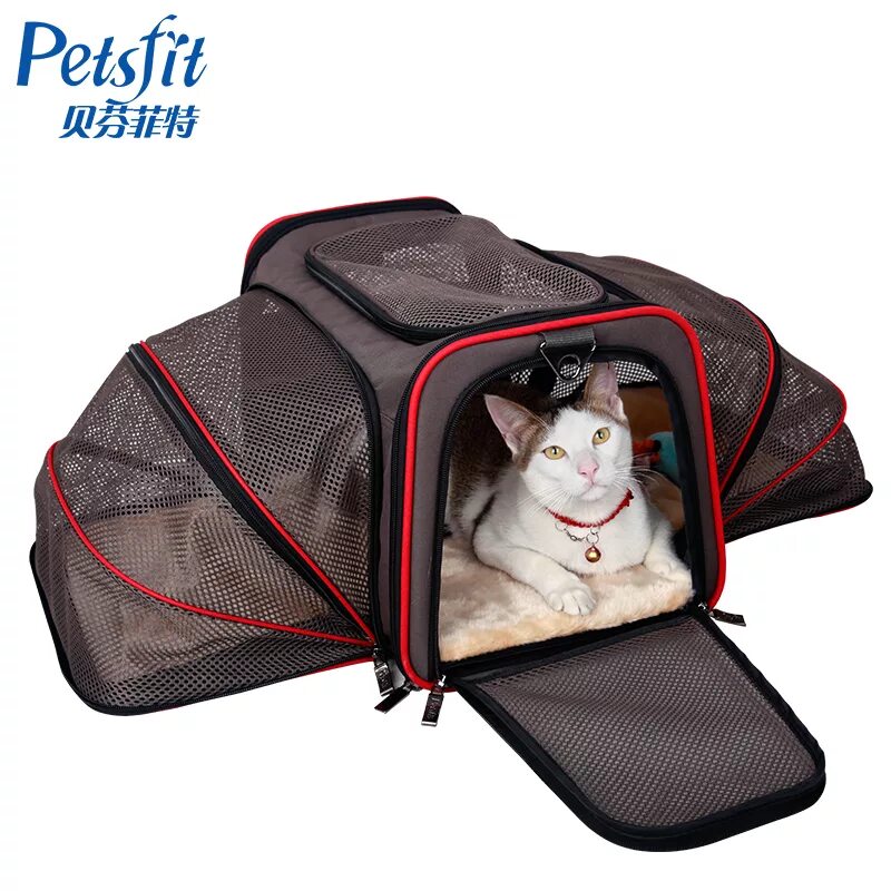 Переноска для кота. Pet Carrier переноска. Переноска для животных Homepet голубая 48 х 32 х 32 см. Переноска Cat Carrier. Какая переноска для кошек лучше