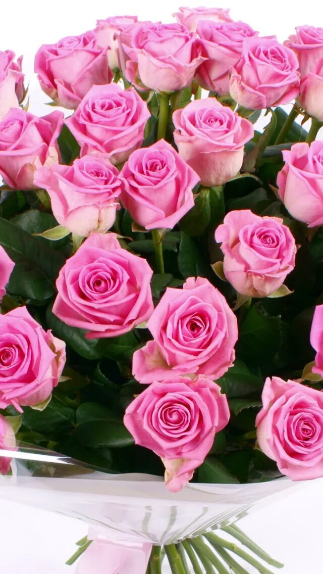 Букет цветов для ватсап. Красивый букет цветов. Шикарные цветы. Красивый букет роз. Розовые розы.