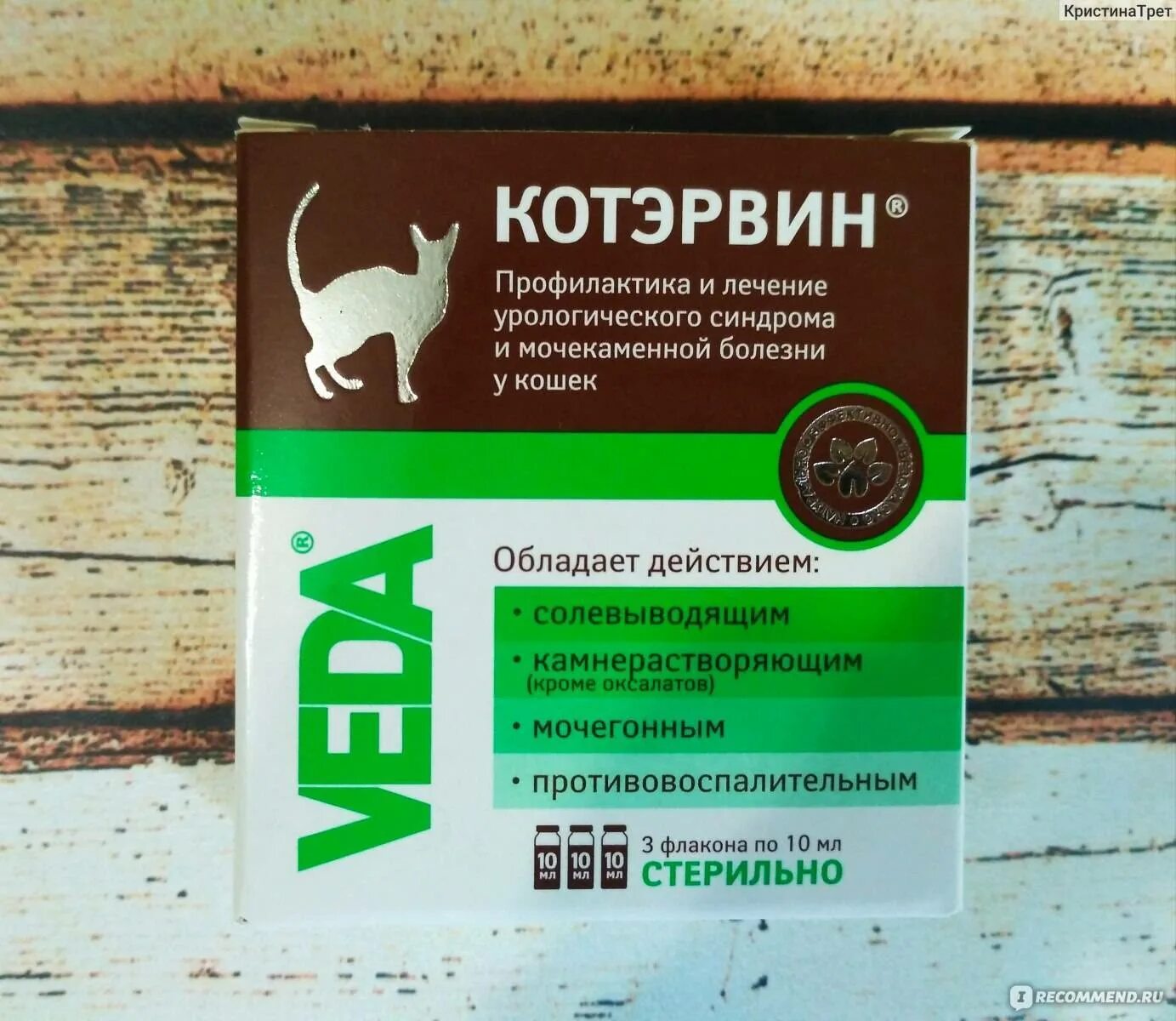 Можно дать кошке ношпу