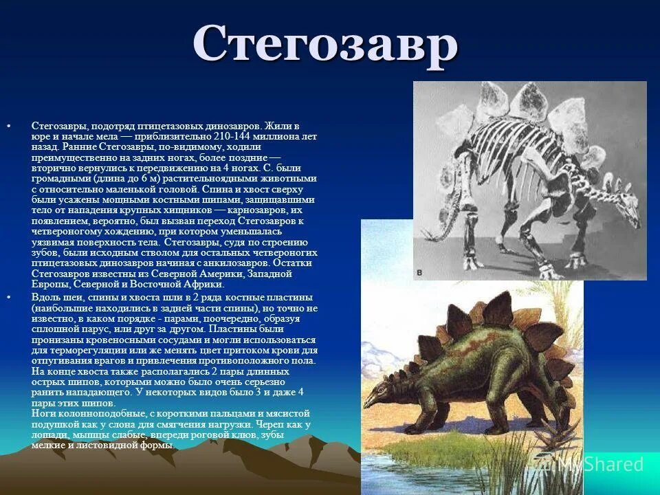 травоядные динозавры стегозавр. травоядные динозавры стегозавр. стегозавр jurassic world. стегозавр мир юрского периода. динозавры в воздухе.