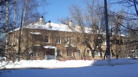 Старый долгопрудный