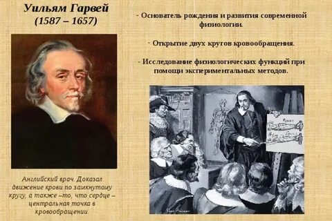 Годы жизни уильяма гарвея