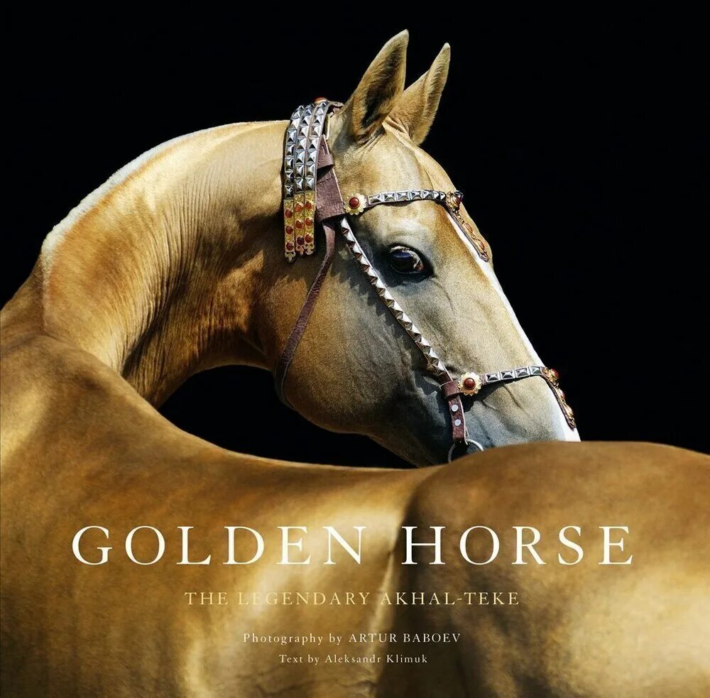 Цены голден хорс. Золотая лошадь. Золотистая лошадь. Лошадь на золотом фоне. Лошадь золотого цвета.