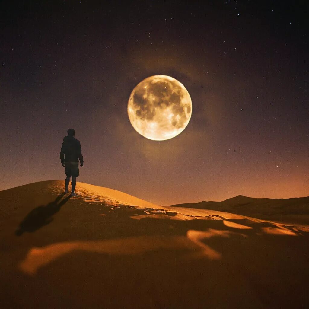 луна и солнце на небе одновременно. сам себе и солнце и луна. луна и солнце на небе одновременно. сам себе и солнце и луна. луна картинки.